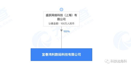 盛躍網絡布局贛西，宜春科技公司成立開啟區域業務新篇章